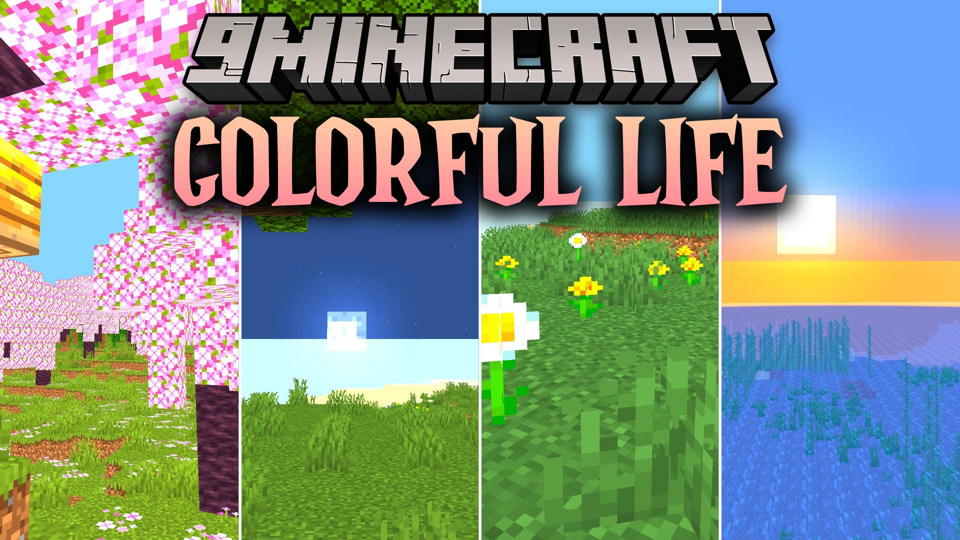 Colorful Life Shaders