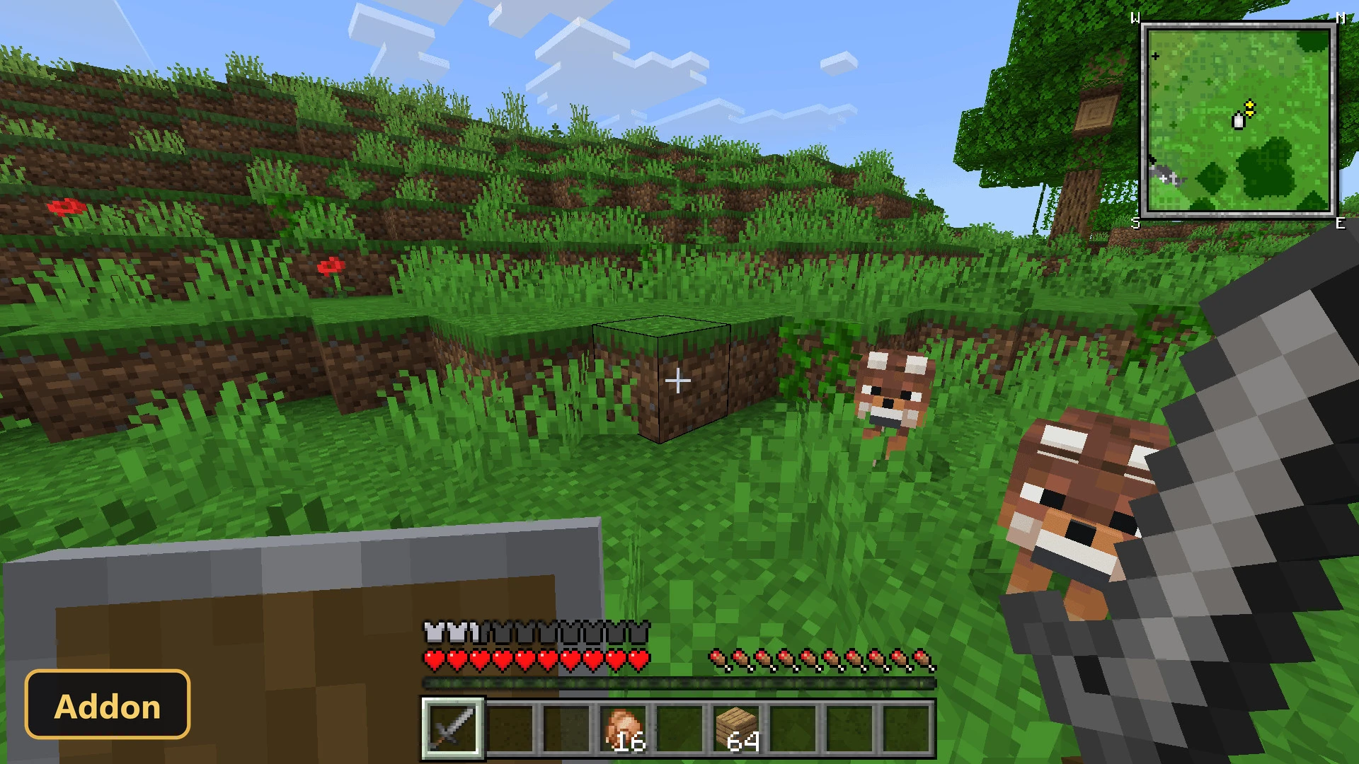 two foxes in a grassy hillside biome with red mushrooms