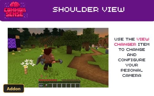 player in third-person view in a forest biome at sunset