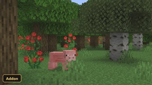 a pig in a forest with red roses and birch trees