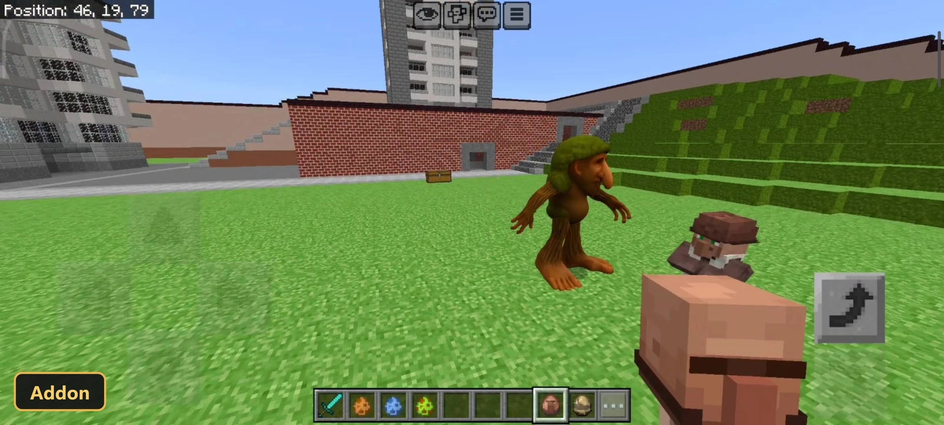 custom mob and villager in open grass field with distant buildings