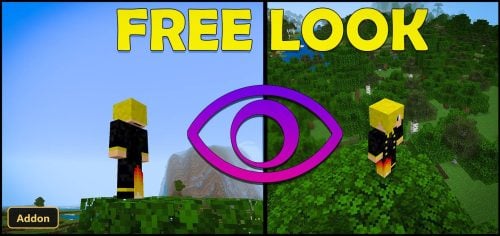 split screen showing player in plains and forest biomes, with eye icon