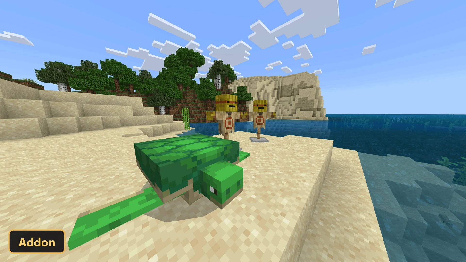 beach scene, two target dummies and a turtle, ocean and cliffs
