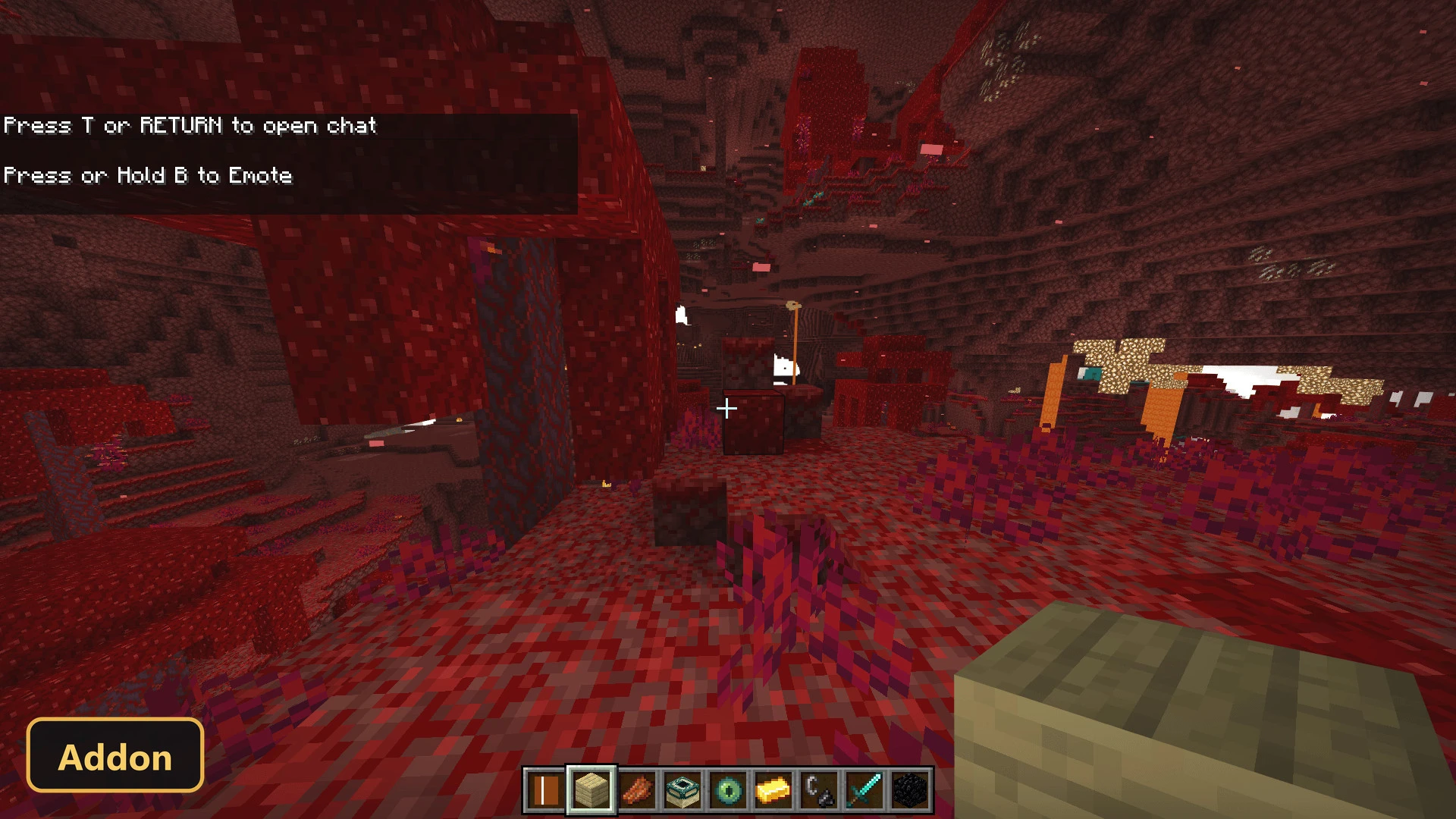 nether biome with red fungi, warped nylium, and glowing blocks