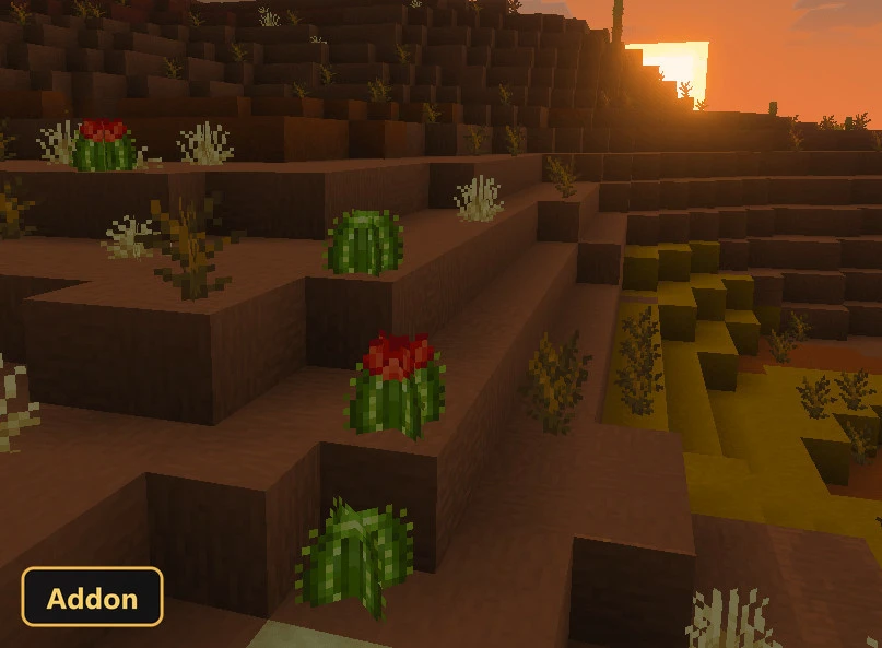 desert landscape with flowering cacti and dry plants at sunset