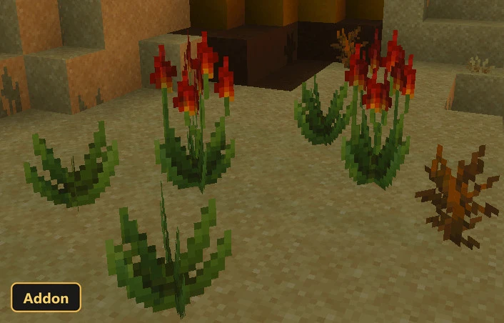 desert floor with red flowering plants and green leafy succulents