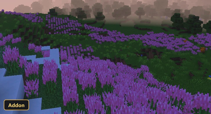 foggy field of tall purple flowers and green trees at sunset