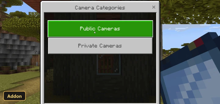 camera categories menu with "Public Cameras" and "Private Cameras