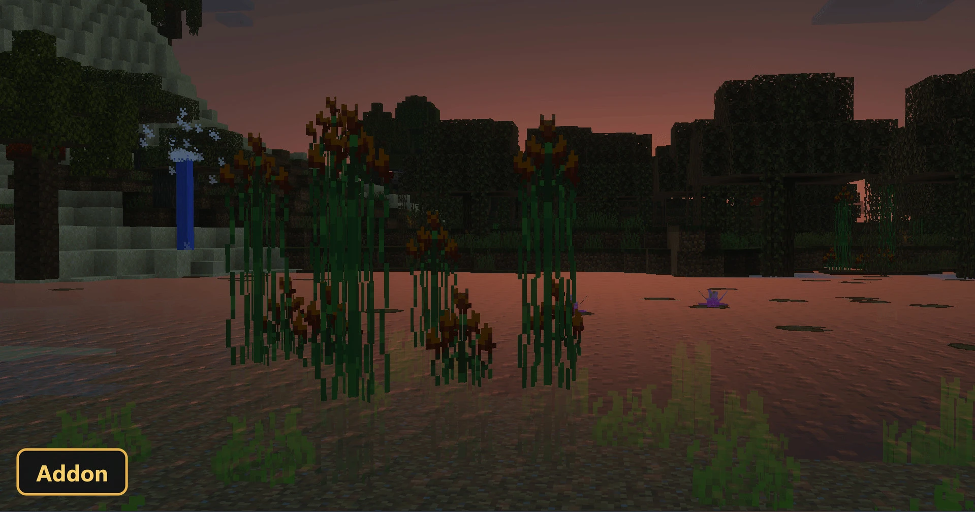 swamp biome at sunset with tall plants in water