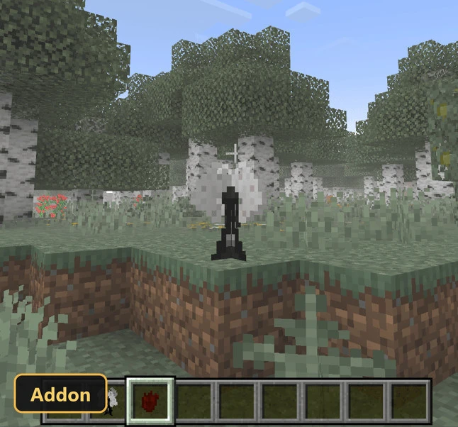 grassy birch forest biome with a small, dark, humanoid figure