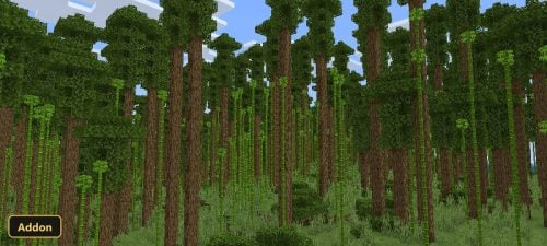 tall trees and bamboo in a dense forest biome