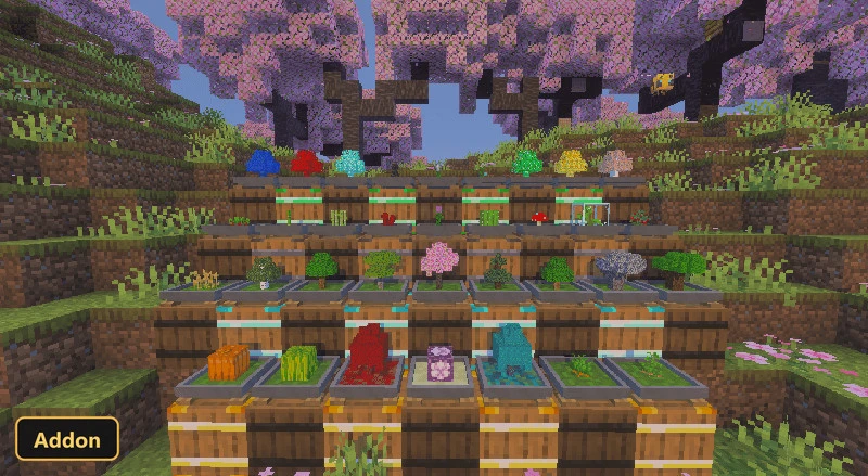 various bonsai trees and soil types on barrels in a cherry grove