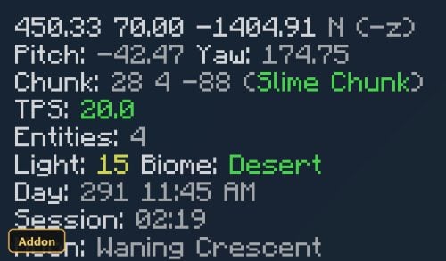 debug screen showing coordinates, biome, time, and entities