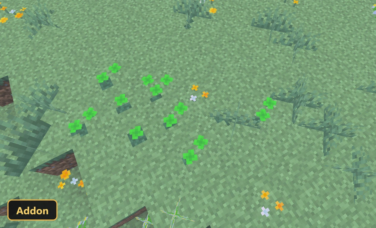 small green plants growing in a field