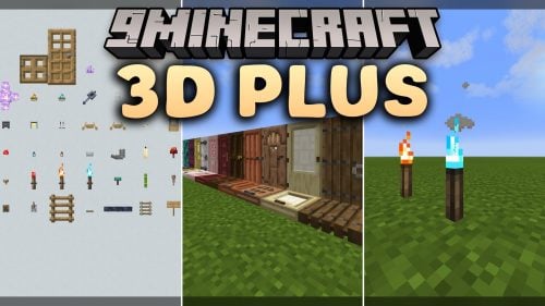 3D Plus Model