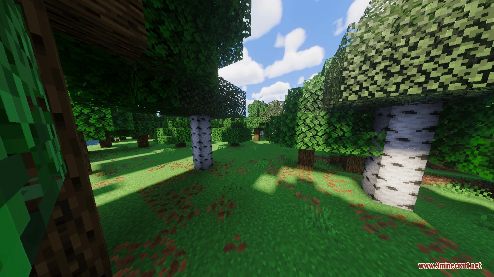 BSLB Dreamy Visuals Shader (26.x) – Volumetric God Rays and Clear Caustic Water — screenshot 3