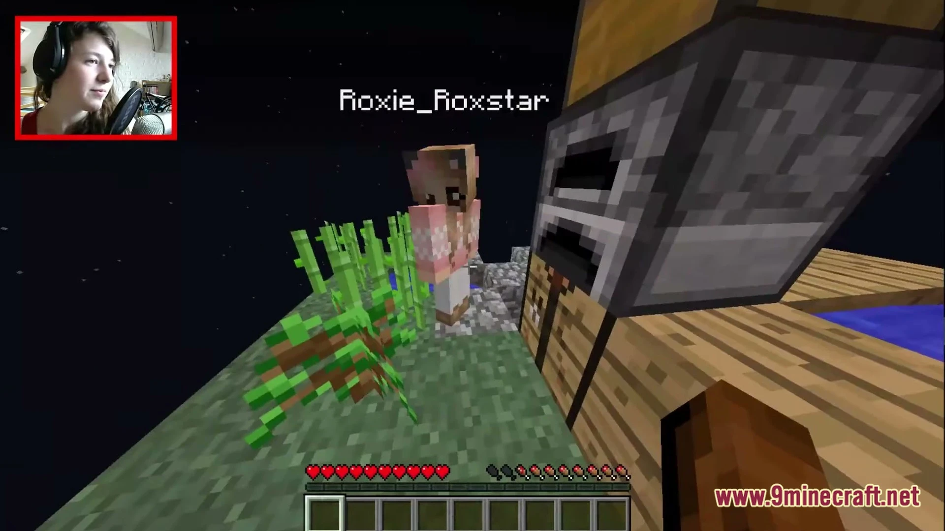 Skyisland Roxi Map (26.2, 1.20.1) – Survive Across Floating Biome Islands — screenshot 4