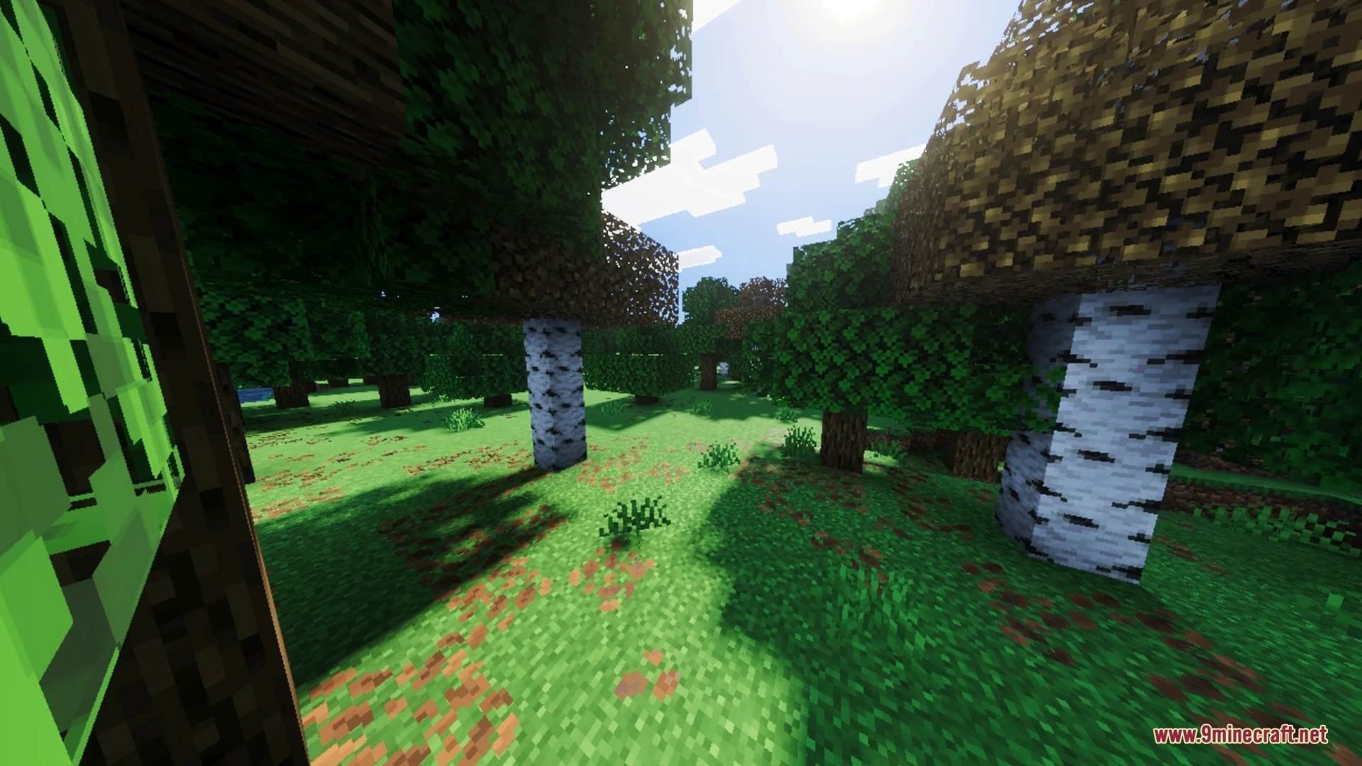 Naturalism Shaders (26.x, 1.21) – Biome-Accurate Lighting and Reflective Water — screenshot 2