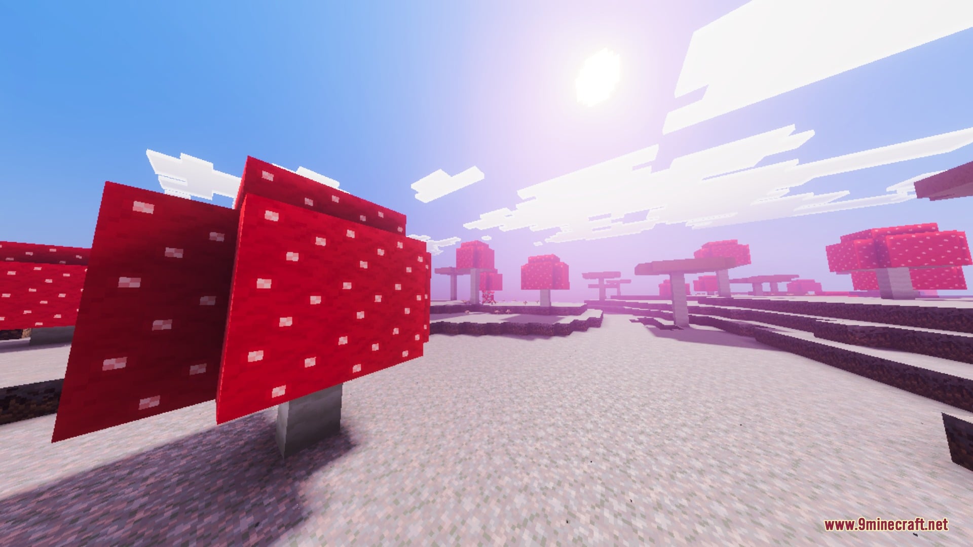 Naturalism Shaders (26.x, 1.21) – Biome-Accurate Lighting and Reflective Water — screenshot 6