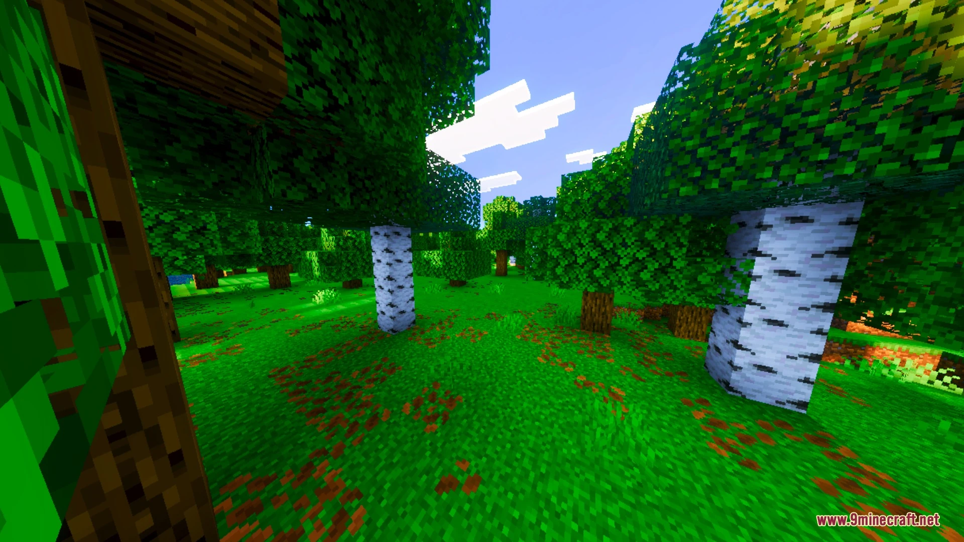 Nexora Visuals Shader (26.x) – Warm Biome Tones and Smooth Water Caustics — screenshot 2