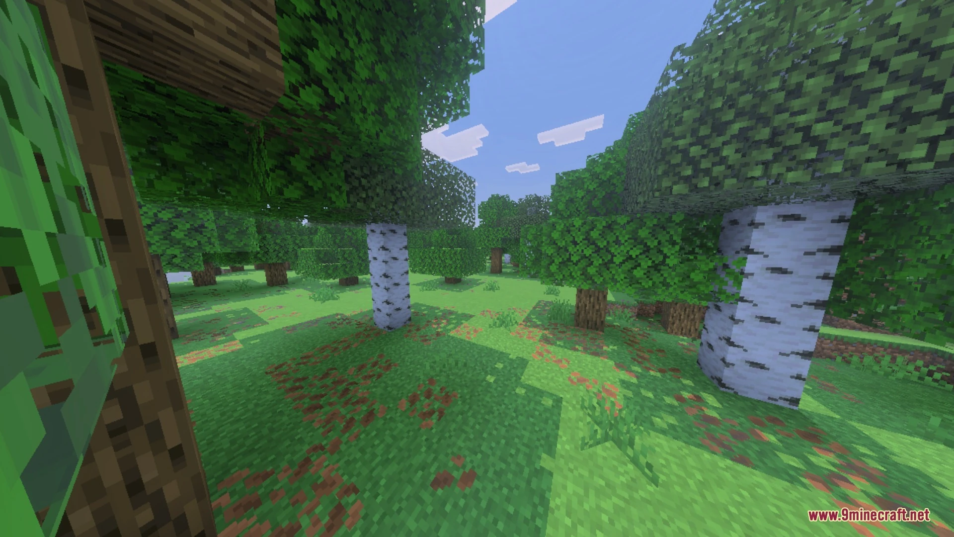 Better Waving Leaves Shader (26.x, 1.21) – Smooth Wind Foliage with No Frame — screenshot 1