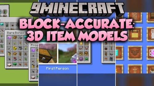Block-Accurate 3D Item Model