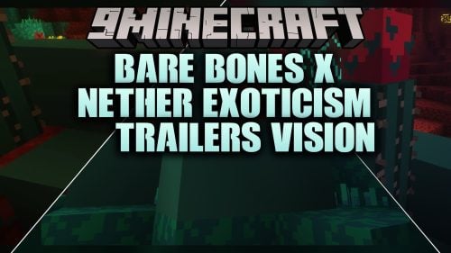 Bare Bones X Nether Exoticism Model