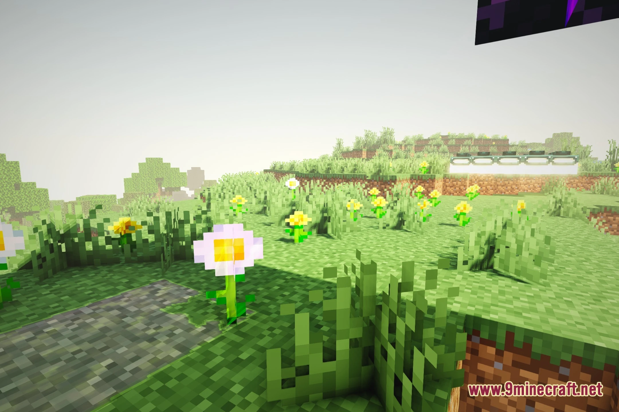 Eventide Shaders Screenshot 5