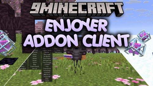 Enjoyer Addon Client Mod