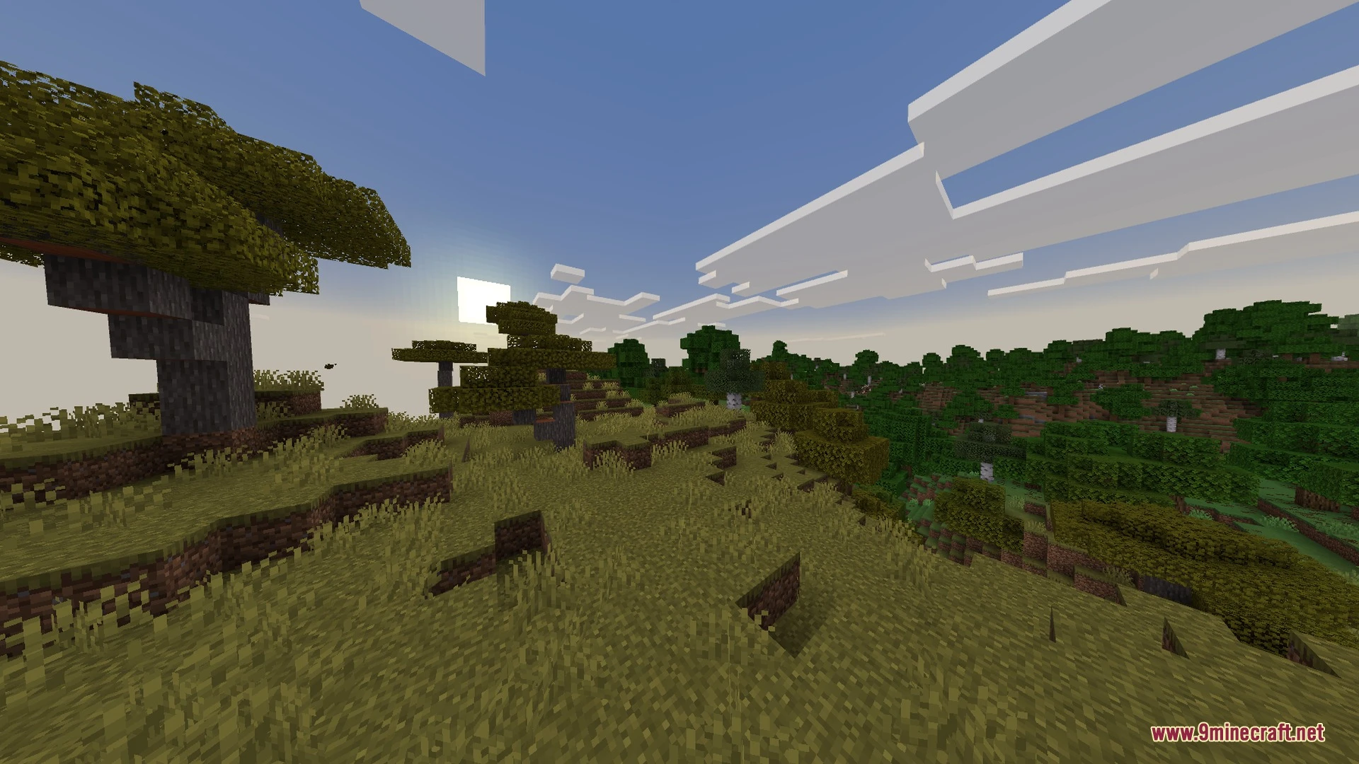Auren Visuals Shader (26.x) – Warm PBR Lighting and Reflective Water — screenshot 4
