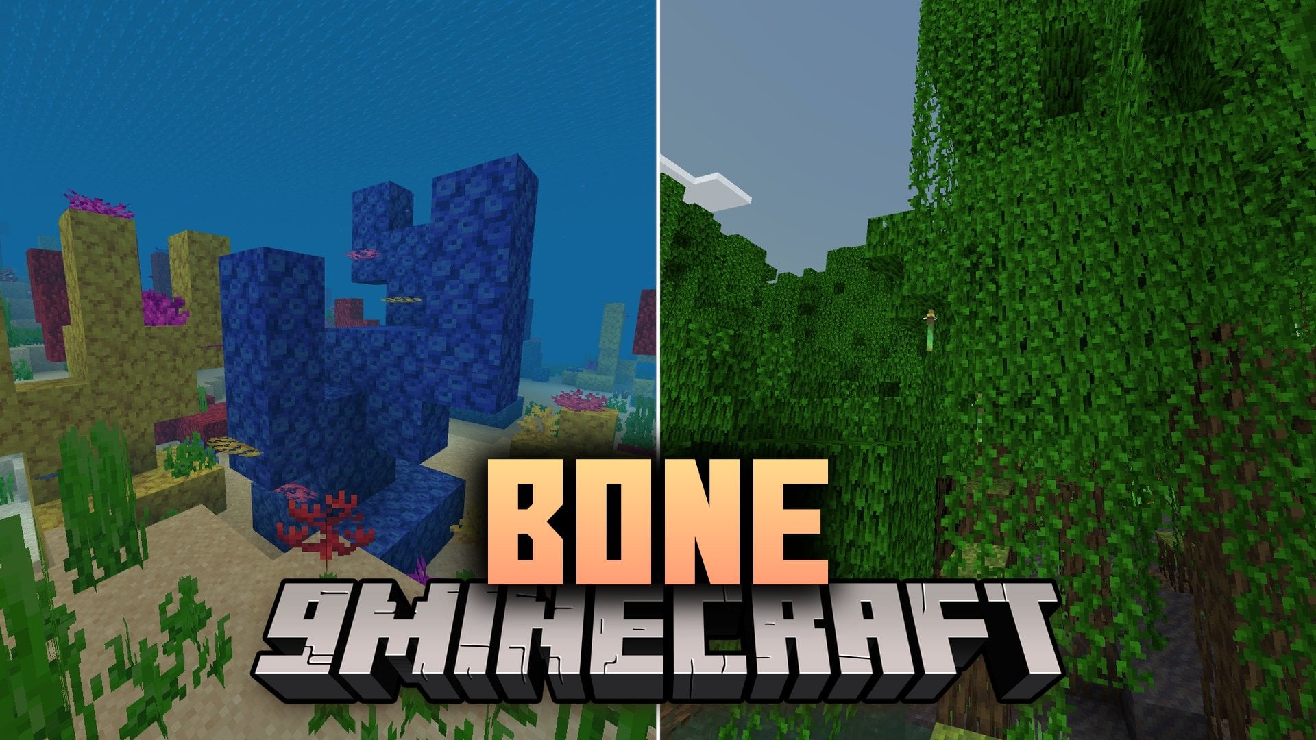 Bone Shader (26.x, 1.21) – Custom Biome Fog and Sky Lighting for Any Device