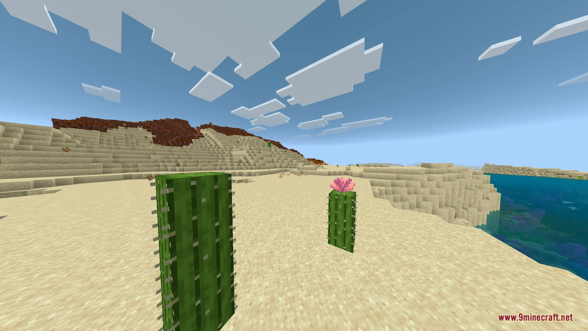 Immersive Visuals for Vibrant Visuals Shader (26.x, 1.21) — screenshot 3