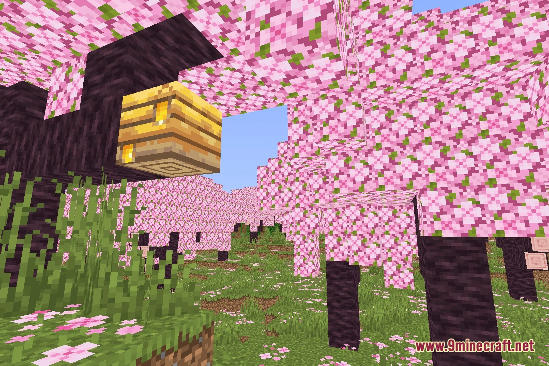 Utala Shaders (26.3, 1.20.1) – Clear Lighting for Competitive PvP Combat — screenshot 1