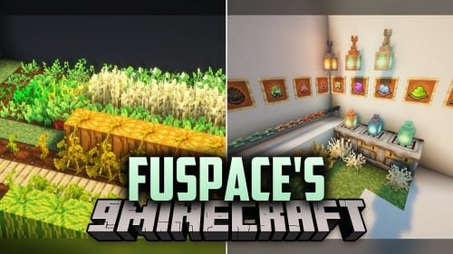 Fuspace's Model