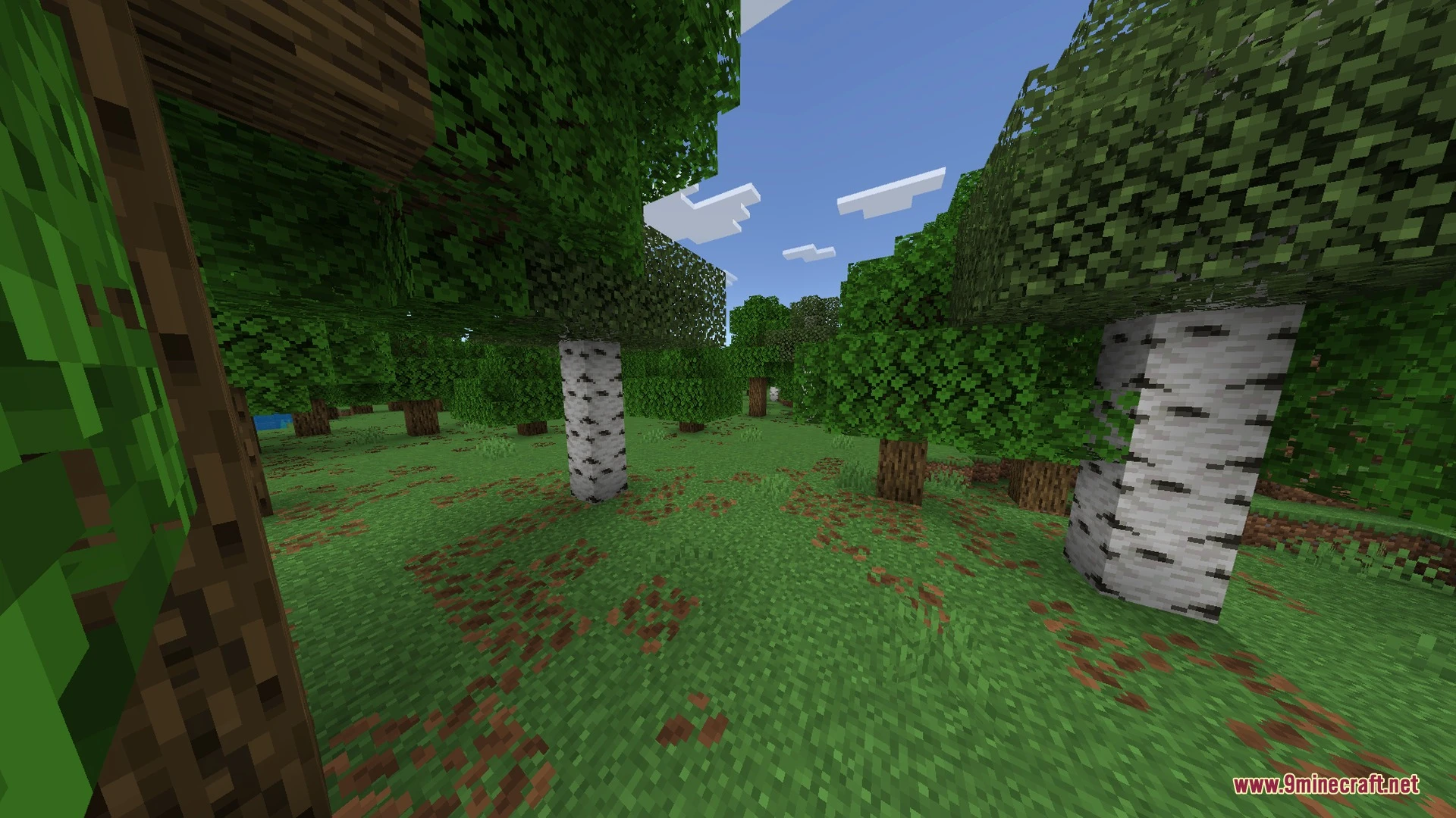 Sunglid Visuals Shader (26.x) – Warm Color Grading and Waving Foliage Screenshot 3