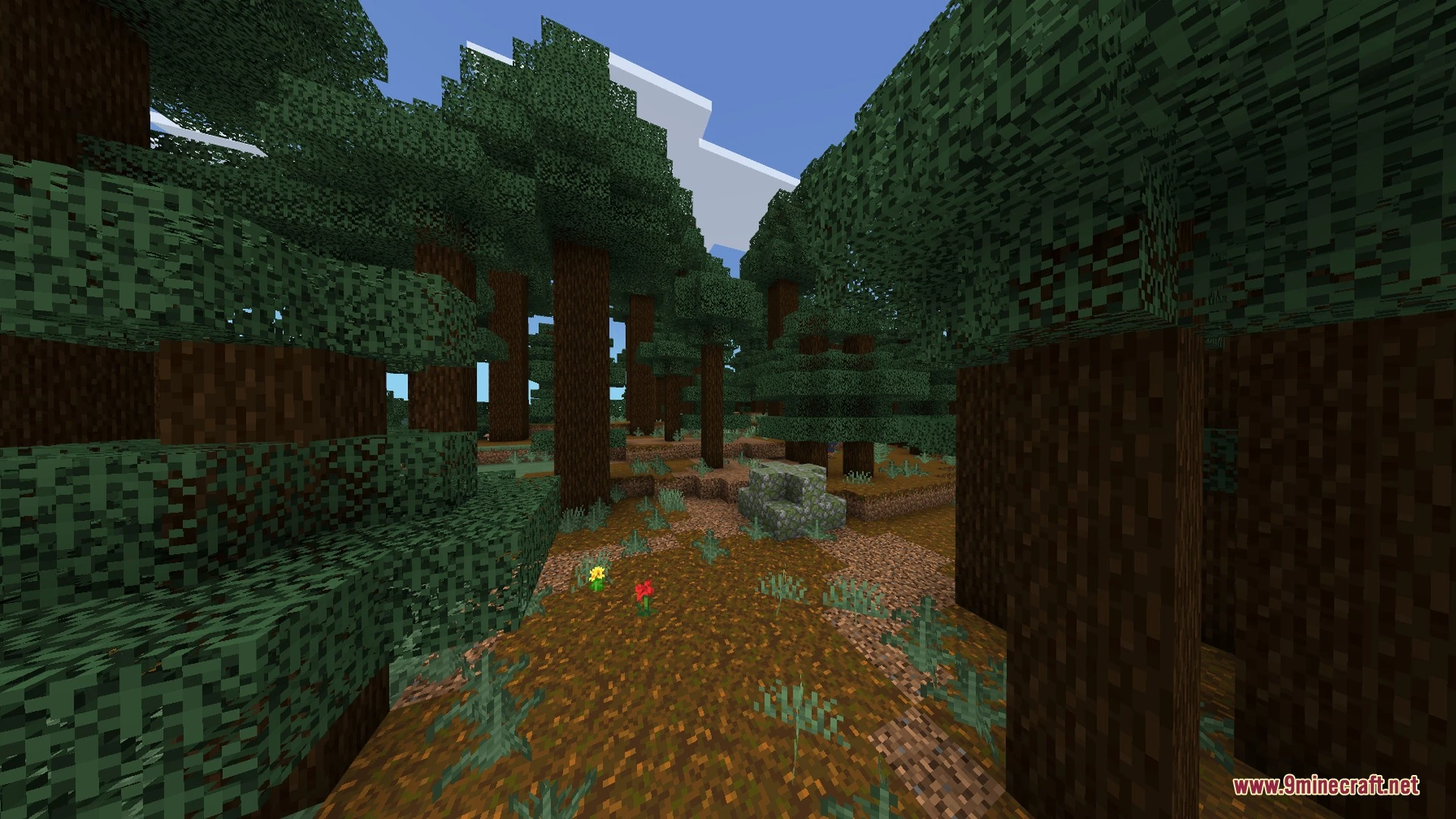 Linnea Visual Shader (26.x) – Vibrant Sunlight and Crystal Clear Waters Screenshot 7