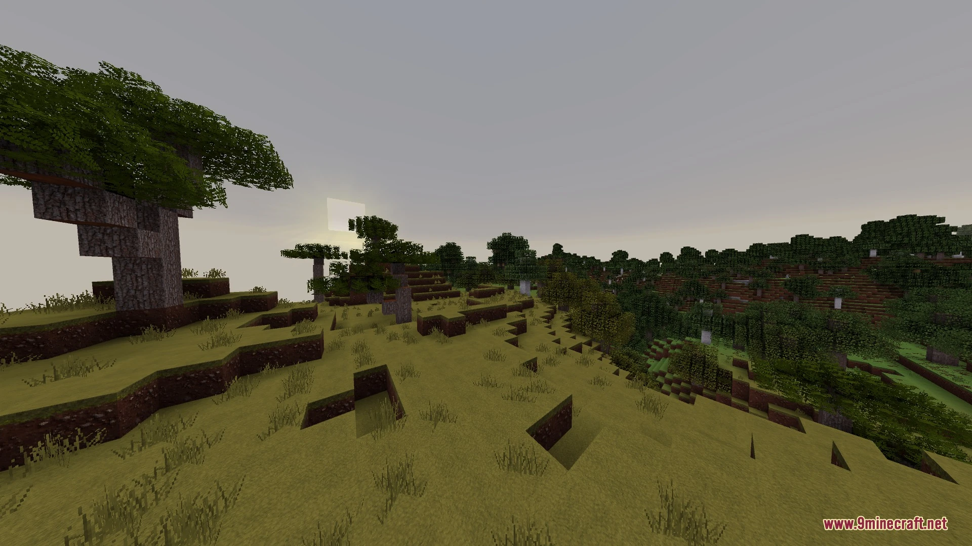 MXZ Shader (26.x, 1.21) – Realistic Lighting and Clear Water on Any Mobile Screenshot 6
