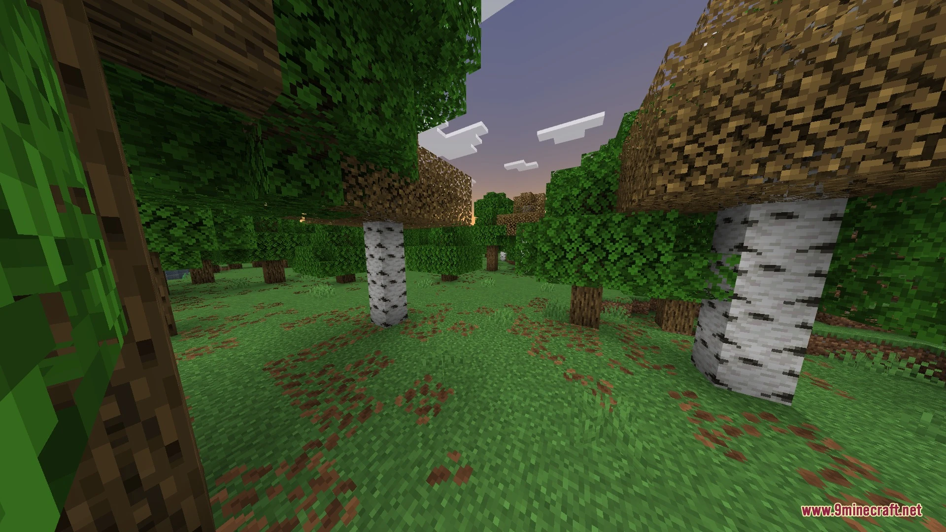 Solscape Shaders (26.x, 1.21) – ACES Color Grading with Glowing PBR Ores Screenshot 2