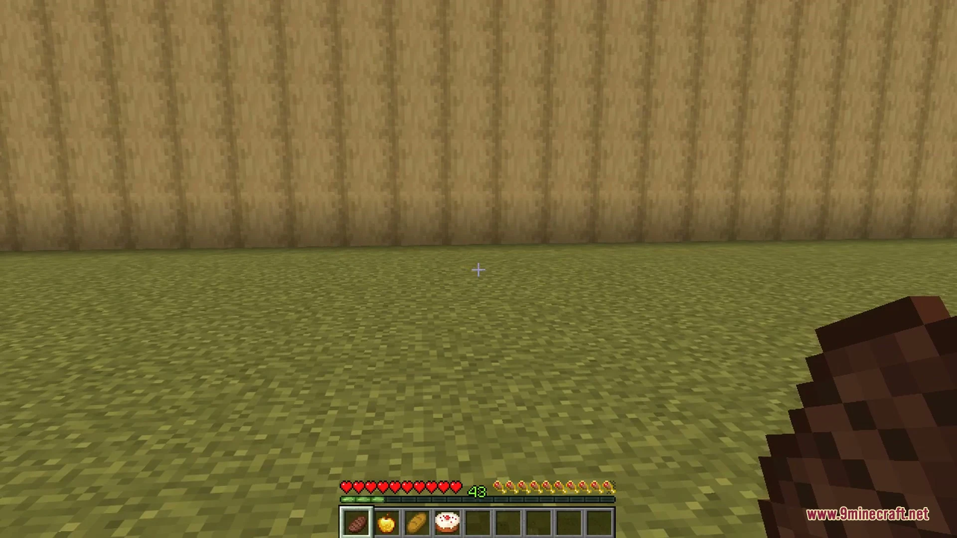 Better Food & Hunger HUD 9minecraft Mod (26.3, 1.20.1) — screenshot 3