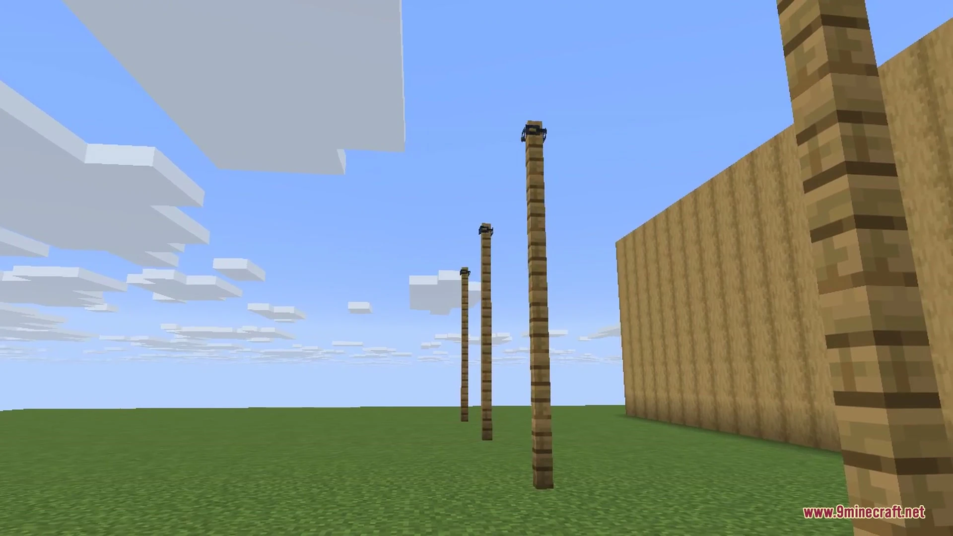 A row of wooden fence posts connected by sagging iron chains