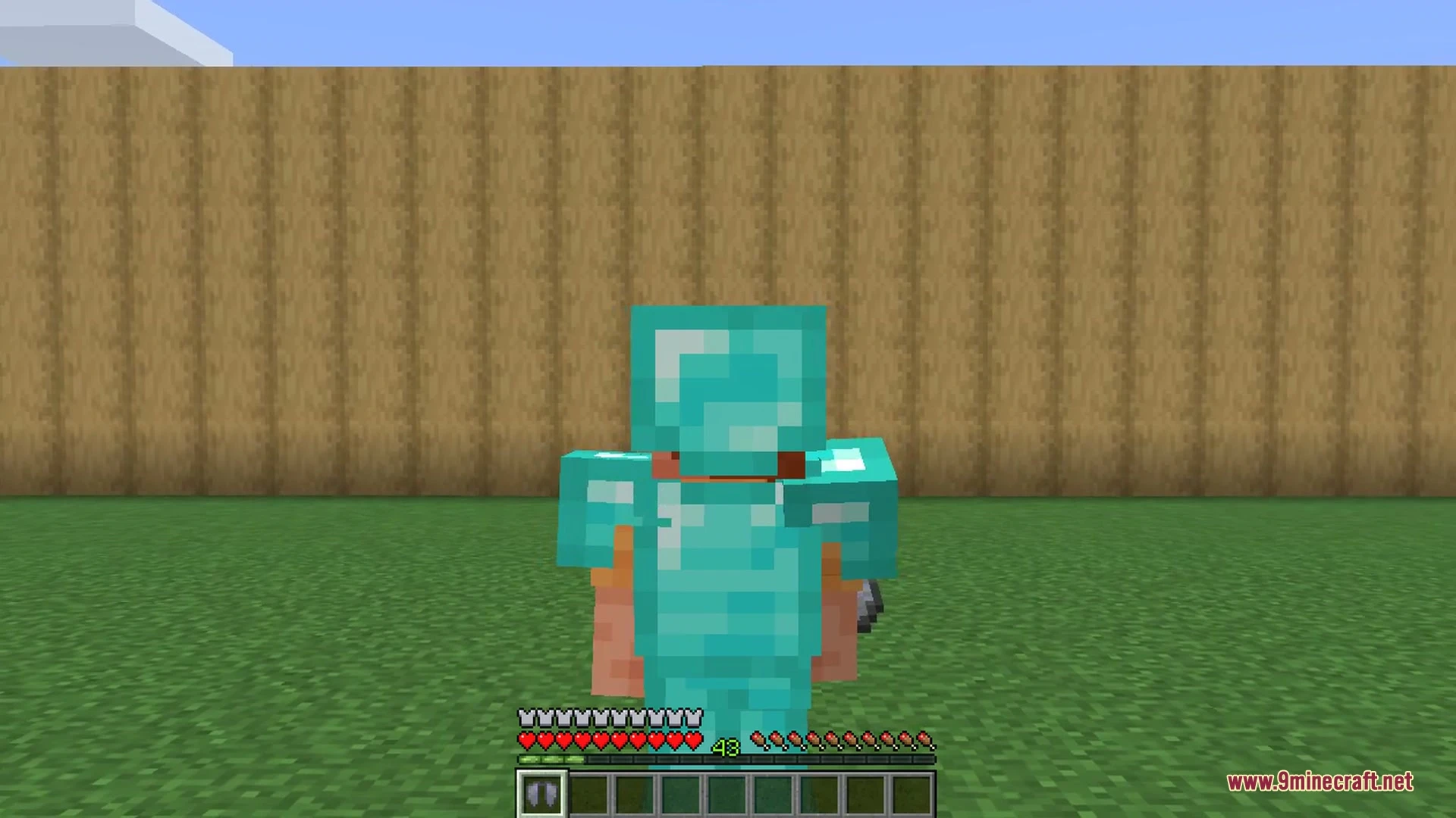 Elytra Slot 9Minecraft Mod screenshot 5