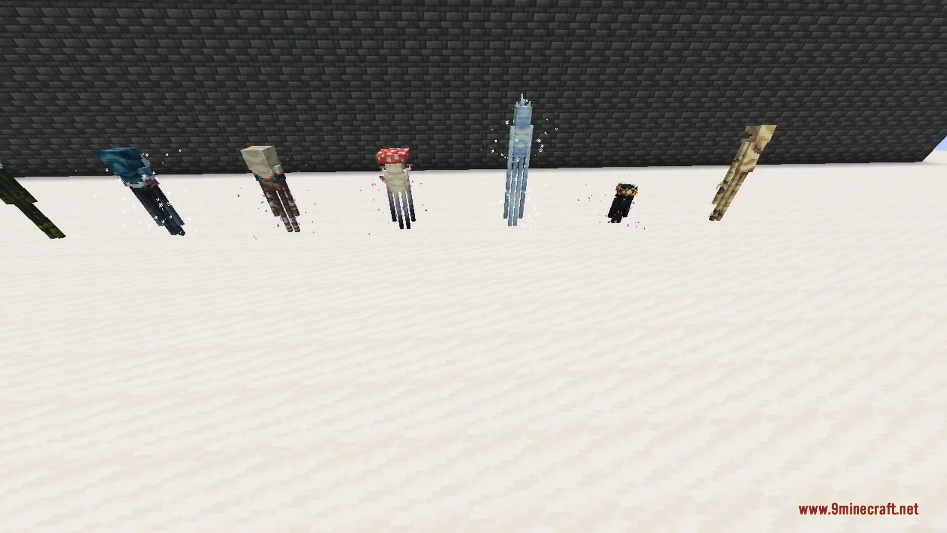 Enderman Overhaul 9minecraft Mod (26.3, 26.2) – Unique Endermen in Every Biome — screenshot 2