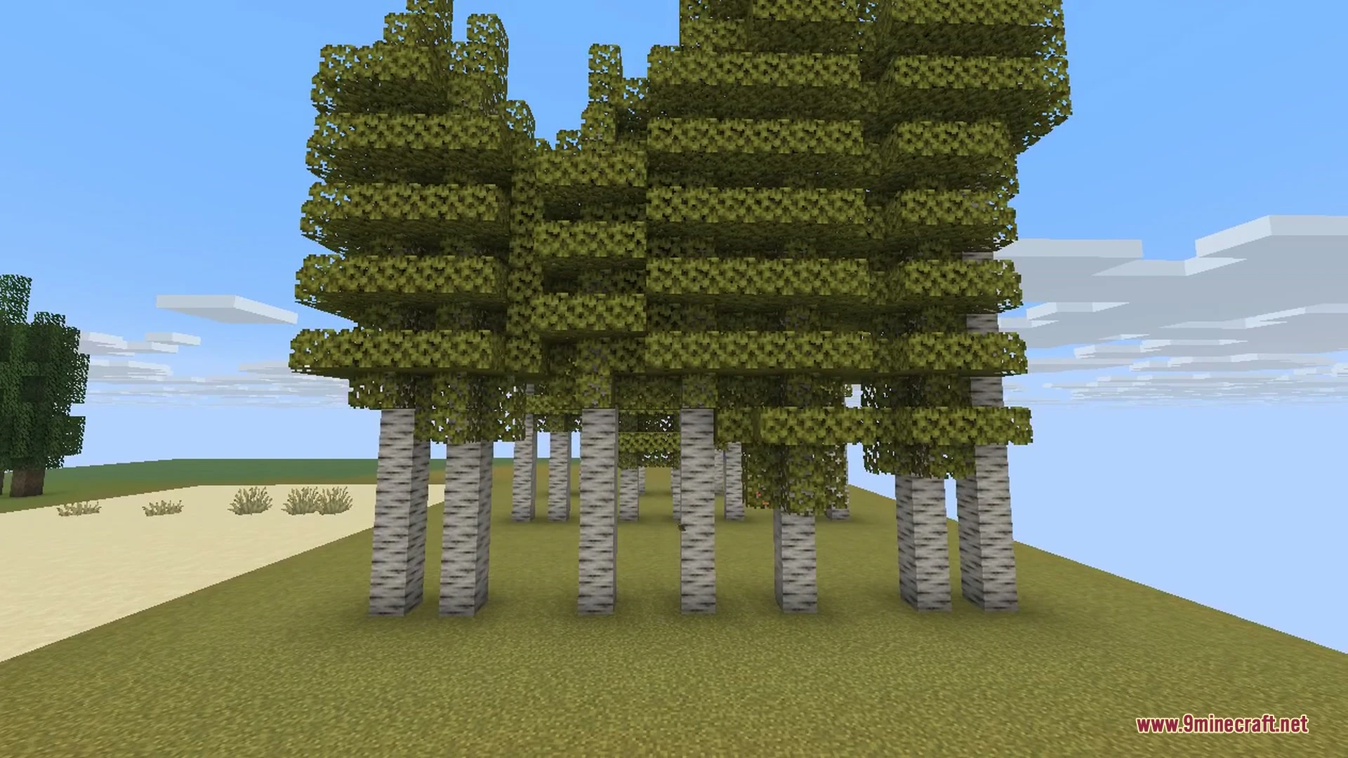 Tall golden aspen trees growing in a new forest biome in Minecraft