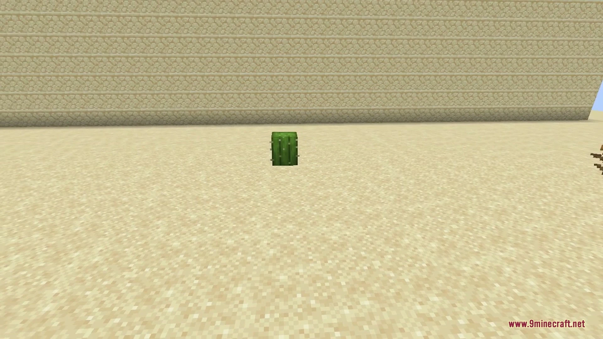 Tumbleweed 9minecraft Mod (26.3, 26.2) – Chase Rolling Loot Across Deserts — screenshot 5