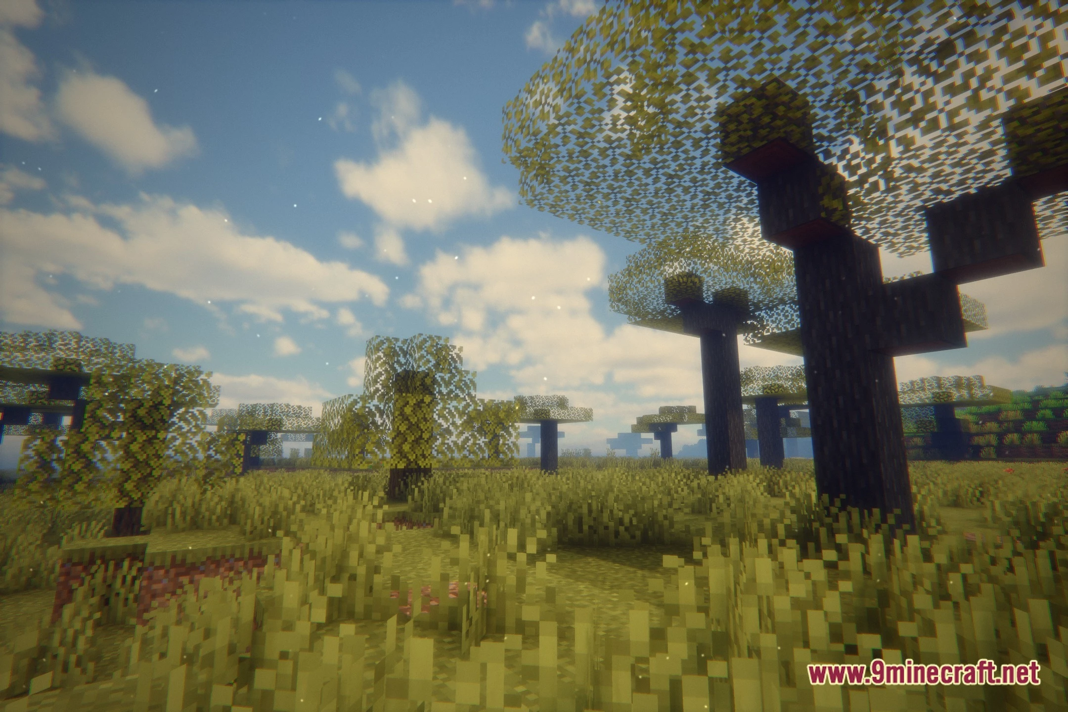 Evelite the Nostalgia Shaders Screenshot 12