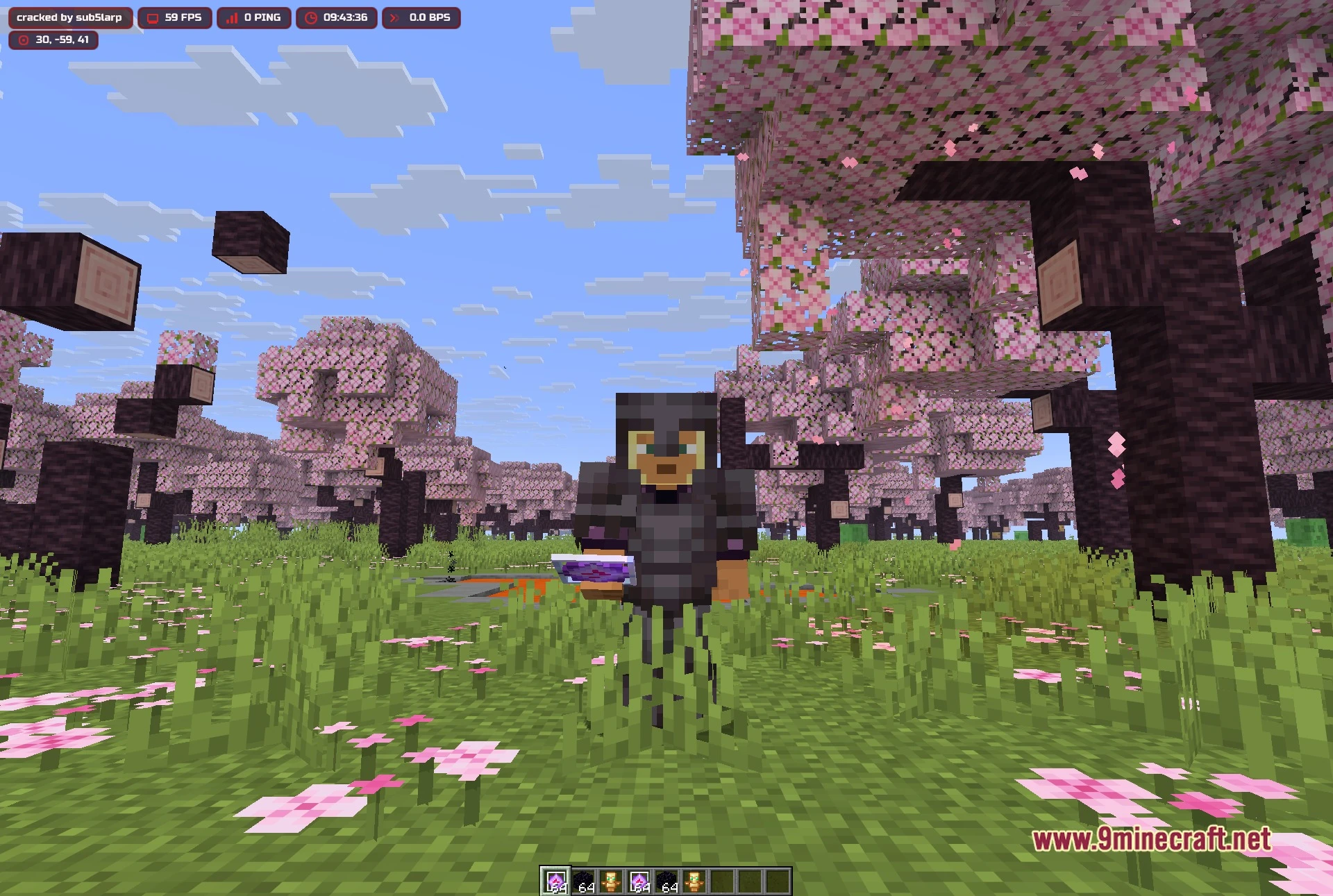 Blood v3.1 Client Mod Screenshot 4 Wide shot of the cherry forest used to check render distance with the client running
