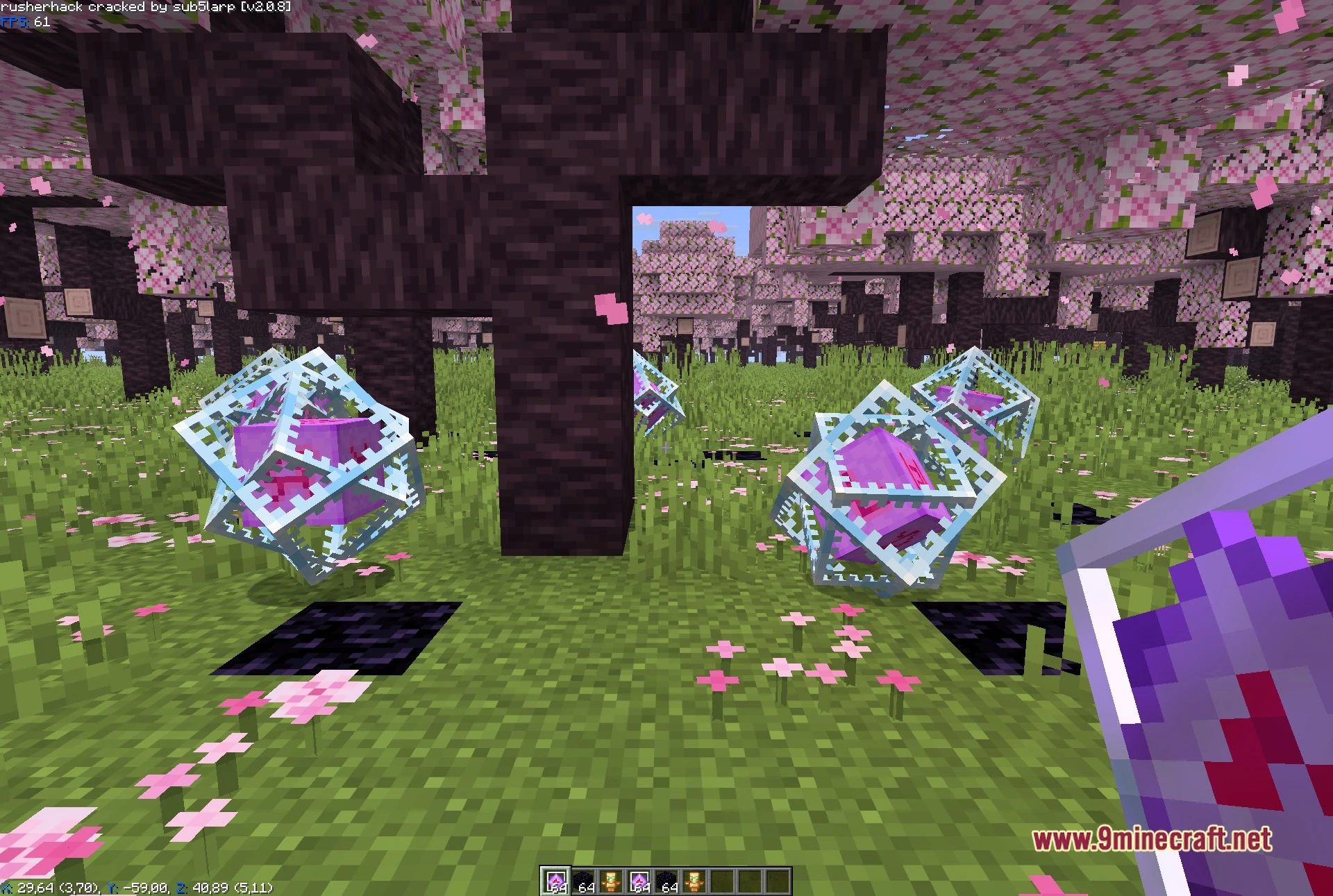 Rusherhack v2.0.8 Client Mod Screenshot 2 First-person view in the cherry grove with end crystals placed around the player