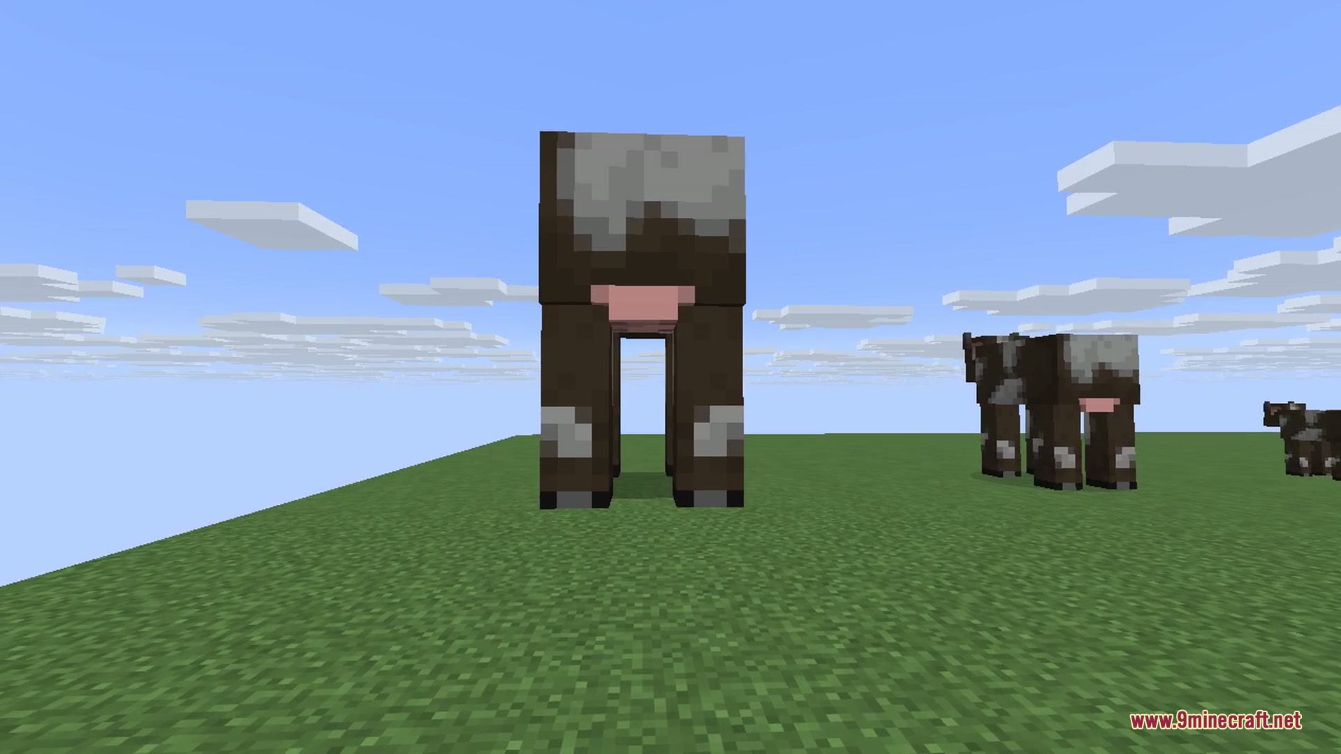A giant, a normal, and a miniature pig standing side by side