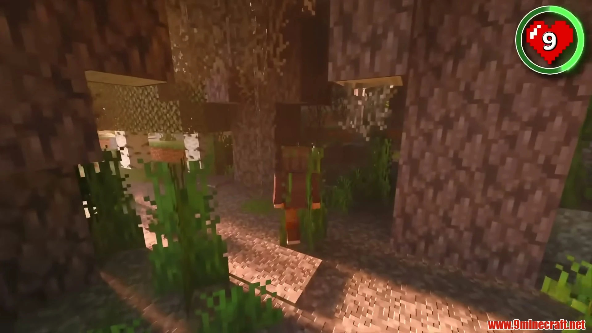 Hidden Dark Oak Oasis & Pale Garden Lake - Minecraft 26.3 Seed 6942711710366603 View 1