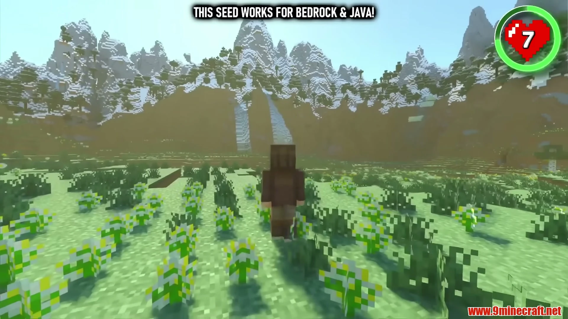 Alpine Crater Meadow Amphitheater - Minecraft 26.3 Seed 15123566709681618 View 3